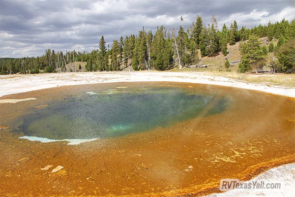 Beauty Pool