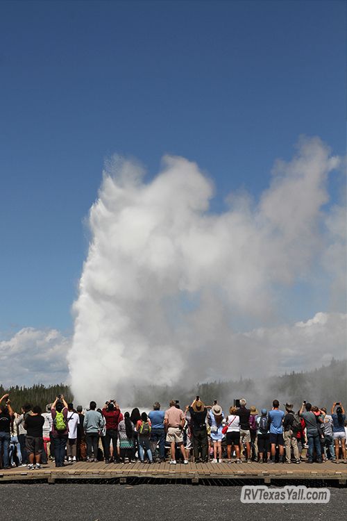 Old Faithful Eruption