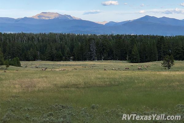 Yellowstone View
