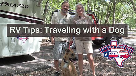 10 Tips for Traveling With a Dog