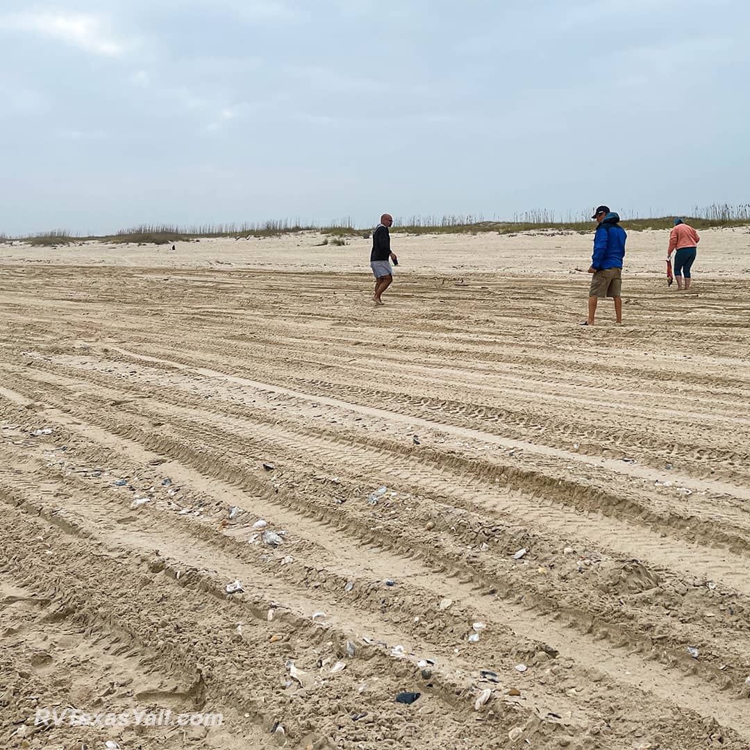 Searching for Shells