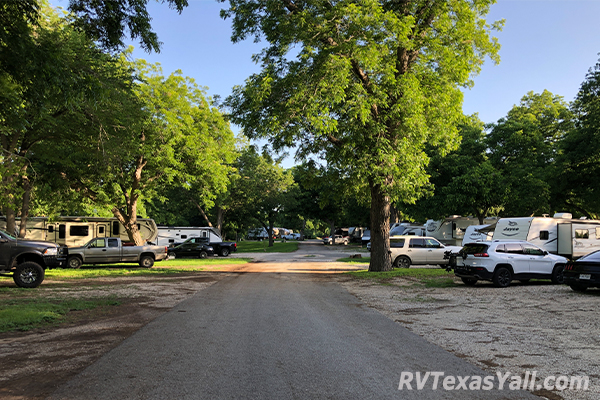 Mature Trees at Pecan Park