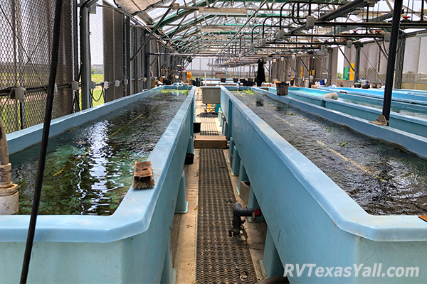 San Marcos Aquatic Resources Center