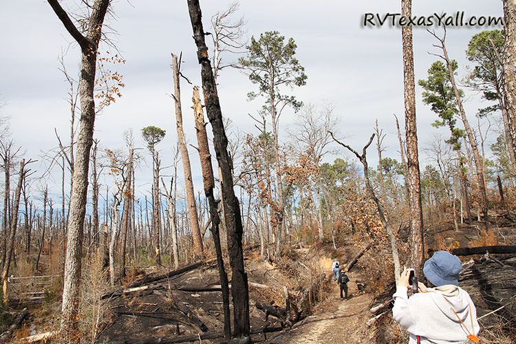 Hiking the Trails at Bastrop State Park 2015