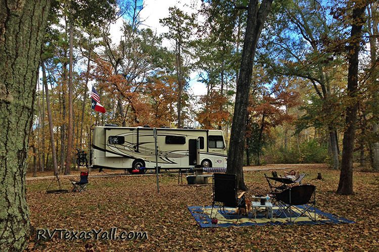 Campsite at Huntsville State Park