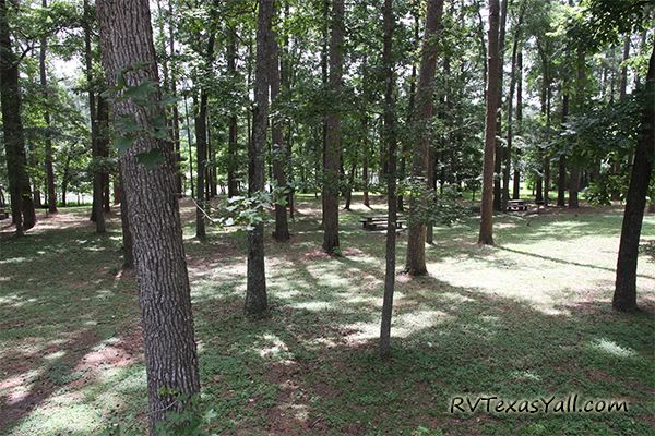 Huntsville State Park Picnic Area