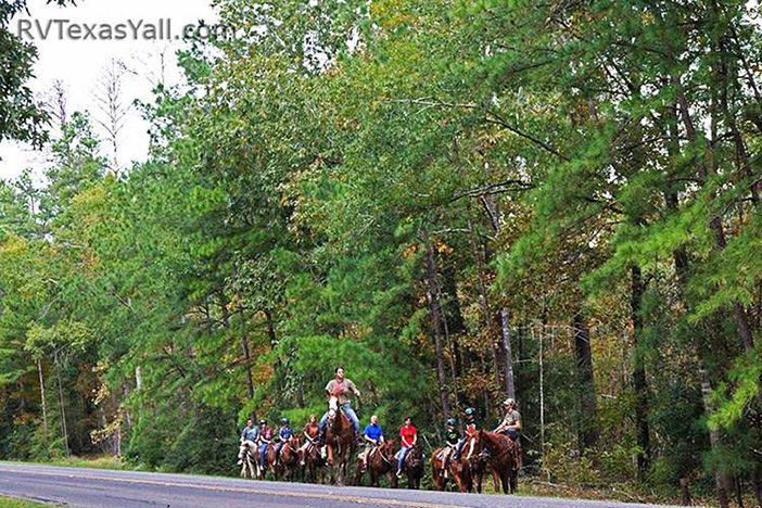 Horseback Ride in Lake Livingston