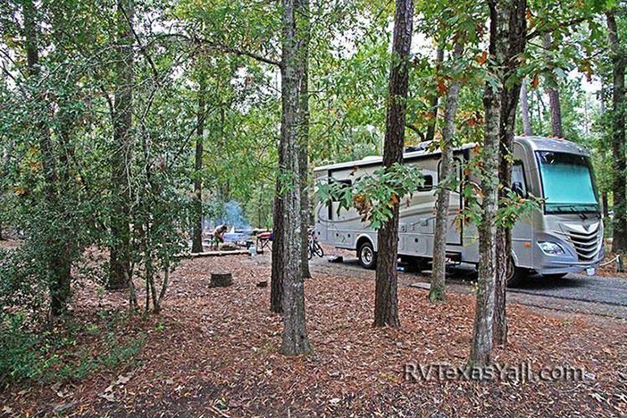 Our Campsite at Lake Livingston State Park