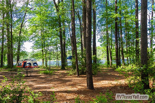 Island Camping at Martin Creek Lake State Park