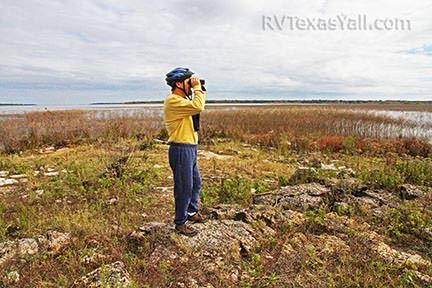 Birding at Rocky Point