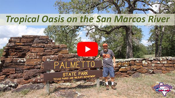 Palmetto State Park Video
