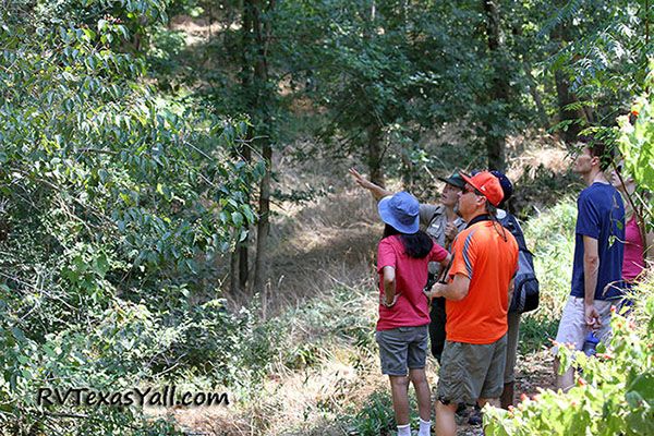 Ranger Led Hikes at Stephen F Austin State Park