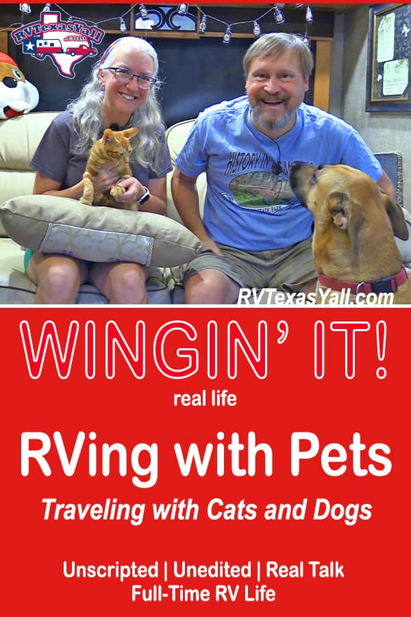 Our Top Tips for RVing With Pets | RVTexasYall.com