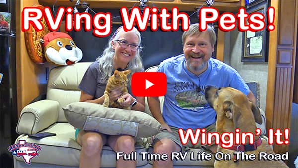 RVing With Pets Video